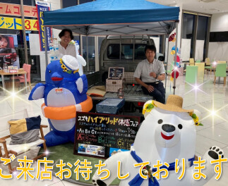 アンコール！サマーフェア開催！！